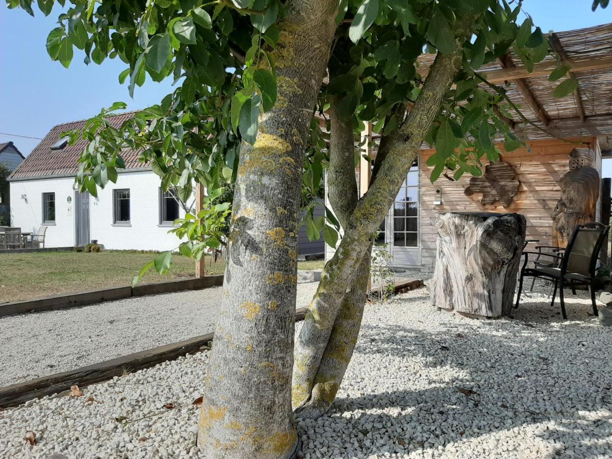 La Petite Juliette Villa Leuze-en-Hainaut Luaran gambar